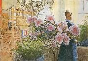 Carl Larsson Azalea oil painting picture wholesale